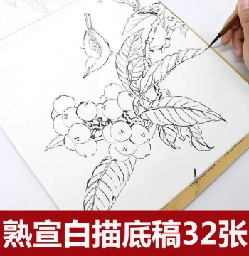 Gongbi Painting Underdrawing Set - 32 White-Line Flower and Bird Sketches on Sized Xuan Paper, Ready for Coloring, Ideal for Beginners (Song Dynasty Style)