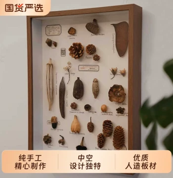 Deep-Box Specimen Frame for 3D Displays – DIY Shadow Box for Insects, Plants, Dried Flowers, Shells, and Butterflies, Tabletop Decor