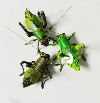 Chinese Intangible Cultural Heritage Palm-Leaf Woven Art: Handcrafted Katydid Figurine for Home Decor and Creative Gifting