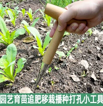 Home Gardening Seedling Tool - Wooden Handle Pointed Dibber for Sowing, Fertilizing, and Succulent Transplanting