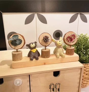 Forest-Style Decorative Display Set with Dried Fruits, Flowers, Pinecones, Dolls, and Wooden Stumps for Creative Handmade Gifts