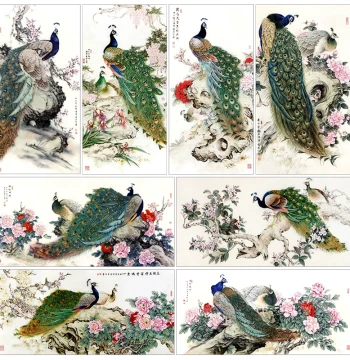 Chen Jun Gongbi Painting Peacock Line Drawing Drafts, Chinese Painting Peony and Bird Copying Practice Samples, Physical Printed Sheets (8 Pack)