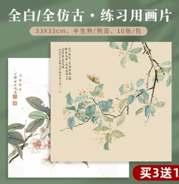 [Buy 3 Get 1 Free] Practice Xuan Paper Sheets – Pure White/Antique Style 33x33cm, Semi-sized or Sized Cardboard for Chinese Painting, Small Freehand Landscape, Flower-Bird, Gongbi, Boneless Styles, and Calligraphy – Yiji Brand Soft Card