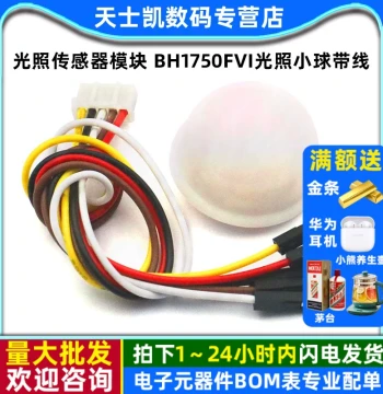 BH1750FVI Light Sensor Module with Wire and Chip