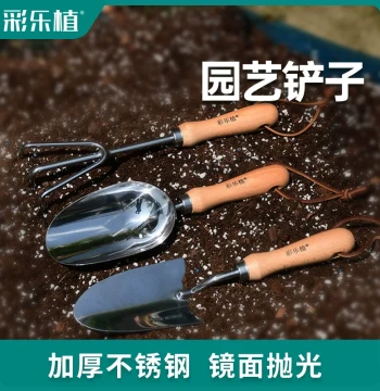Stainless Steel Garden Trowel with Wooden Handle for Planting and Transplanting