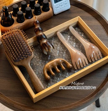 Professional Head Spa Tool: Meridian Comb for Scalp Relaxation, Gua Sha, and Shampooing