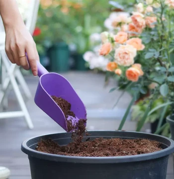 Garden Soil Loosening Shovel - Thickened Plastic Cat Litter Scoop for Balcony Vegetable and Flower Planting, Succulent Repotting, and Digging