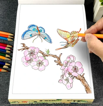 Chinese Painting Line Drawing Copybook for Children, Beginner Sketching and Coloring Set, Authentic Landscape, Figure, Flower, Bird, and Peony Gongbi Drafts, Large Format Reference Material