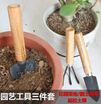 Home Gardening Tool Set for Planting Flowers and Vegetables - Includes Shovels, Rakes, and Trowels