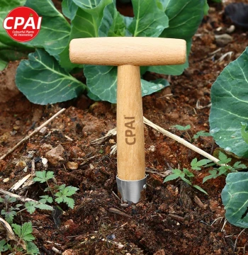 Stainless Steel Seedling Transplanting Tool for Home Gardening – Planting, Fertilizing, and Hole Punching