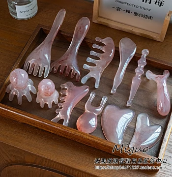 Wellness Tool Collection Multifunctional Scalp Massage Comb Head Therapy Meridian Clearing Device Facial Gua Sha