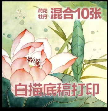 High-Definition Line Drawing Templates for Chinese Painting - Floral, Landscape, Figure, and Bird Studies for Beginners and Students