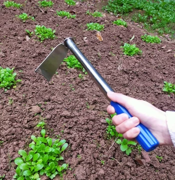 Stainless Steel Mini Garden Hoe for Home Gardening - Weeding, Digging, and Planting Tool