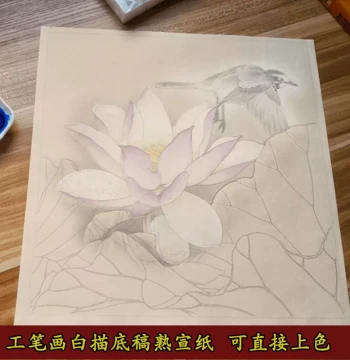 Gongbi Painting Line Drawing Base Sketches for Beginner Tracing Practice – Watercolor Flowers, Birds, Insects, Fish; Chinese Painting Outline on Sized Xuan Paper (Free Shipping)