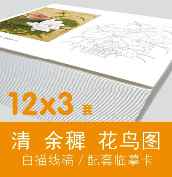 Qing Dynasty Yu Xi Bird-and-Flower Album - Gongbi Line Drawing Copy Cards for Traditional Chinese Painting Practice