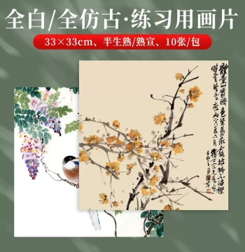 Yubaoge Practice Xuan Paper Sheets - Full White and Antique Style 33x33cm for Chinese Painting (Raw, Semi-sized, Sized), Calligraphy, and Sketching on Soft Card Mounts