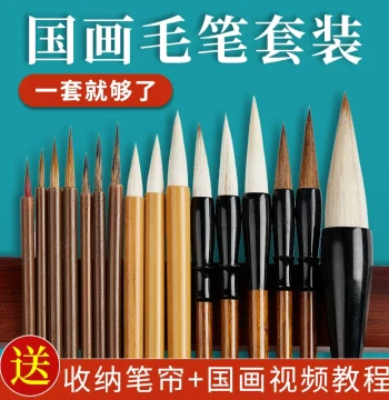 Chinese Painting Brush Set for Gongbi, Professional Mixed and Goat Hair Baiyun Brushes, Line Drawing Brushes, Landscape, Flower-and-Bird, Ink Wash Painting Pigments, Complete Starter Kit for Children, White-Line Drawing Tools