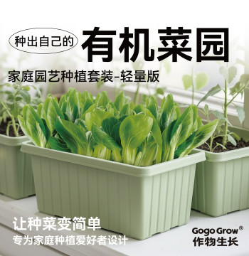 Home Gardening Planting Kit (Lite Version) - Edible Organic Vegetable Pots for Balcony Growing