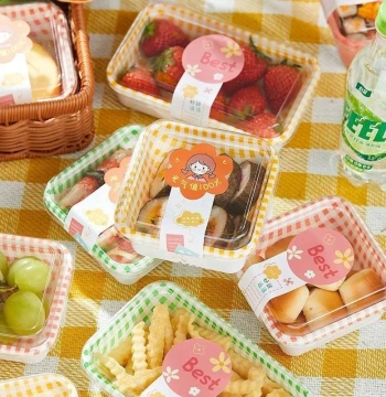 Picnic Packing Boxes for Sushi, Fruit, Desserts, and Cakes, Bento Boxes for Camping, Spring Outings, Street Vending, and Takeout, Disposable Packaging