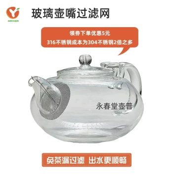Teapot Spout Filter Mesh – Built-In 316 Stainless Steel Screen for Ceramic and Glass Teapots, Tea Strainer and Leaf Filter