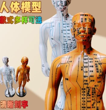 Acupuncture Acupoint Human Body Model, TCM Meridian Small Bronze Figure, Twelve Meridians Human Model, Full-Body Acupoint Model for Men and Women