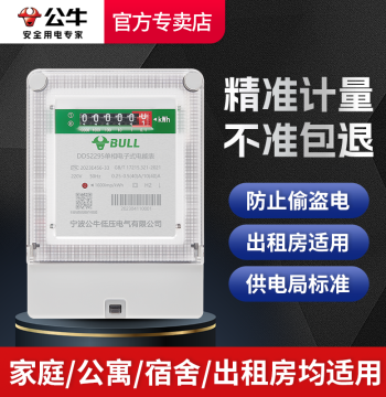 BULL Household Electricity Meter Dedicated for Rental Properties, 220V High-Power Single-Phase Smart Electronic Energy Meter