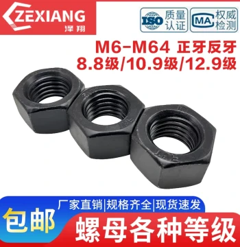 Grade 8.8/10.9/12.9 High-Strength Hex Nuts M6 M8 M10 M12 M16 M20 M100