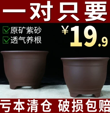 Yixing Zisha Orchid Pot, Small Round Shaped Ceramic Planter for Indoor Bonsai, Balcony, or Desktop Display