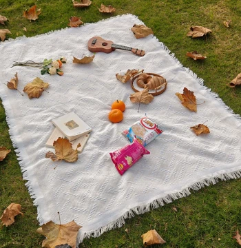 T Picnic Mat Moisture-Proof Blanket Outdoor Camping White Rug Beach Pad Tent Ground Sheet French Style Modern Photo Prop