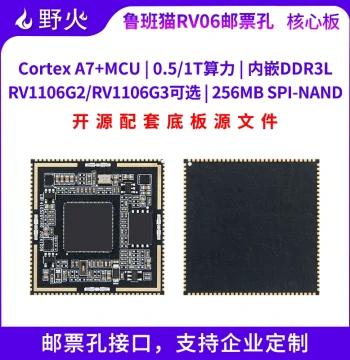 Wildfire Rockchip RV1106 Core Board Linux Development Board Vision Processing Face Recognition Smart Door Lock Board