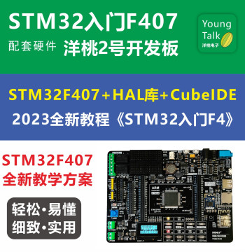 YangTao No.2 Development Board STM32F407ZGT6 Microcontroller HAL Library Embedded Bluetooth Wi-Fi Color Screen