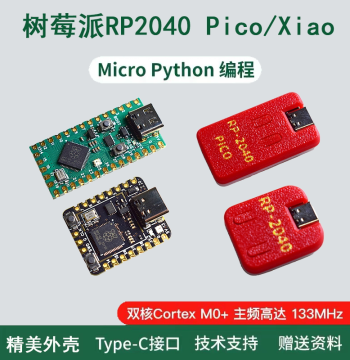 Raspberry Pi Pico Development Board with RP2040 Chip Dual-Core Raspberry Pi microPython