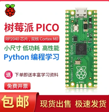 Raspberry Pi Pico Development Board RP2040 Chip Dual-Core raspberry pi microPython