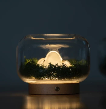 Nuan Lamp | Four Seasons Mountain Aromatherapy Lamp - Natural Plant Design Light
