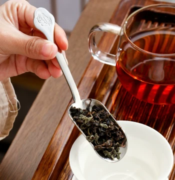 Thickened Stainless Steel & Pure Titanium Tea Scoop - Magnetic 430 Steel Handle with Crystalline Titanium Spoon for Gongfu Tea