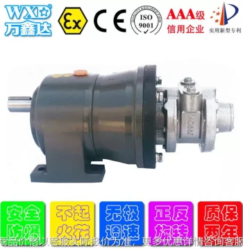 Explosion-Proof 8AMJL Pneumatic Reduction Motor Vane-Type Pneumatic Reduction Motor