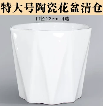 Minimalist Ceramic Flower Pot with Large Opening for Home Desktop Plants - Anthurium & Pothos Sale