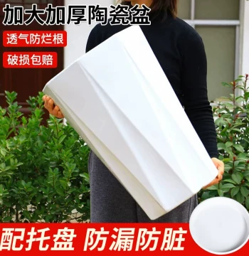 Modern Minimalist Large Ceramic Planter, Extra-Large Floor Plant Pot, Luxury High-End Greenery Container