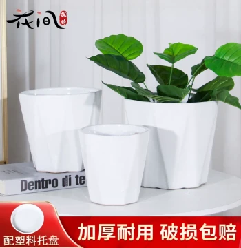 Modern Minimalist Luxury Large-Opening Ceramic Flower Pot for Plants - Clearance Sale with Free Shipping for Living Room Greenery