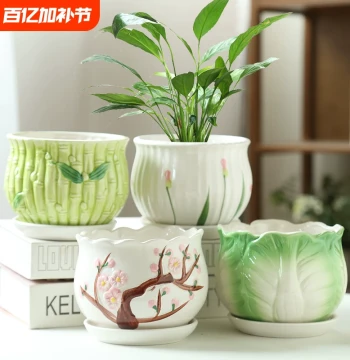 Ceramic Flower Pot for Home Use, Large and Extra-Large Succulent Planter on Clearance Sale with Saucer, Creative Design for Spider Plants and Pothos