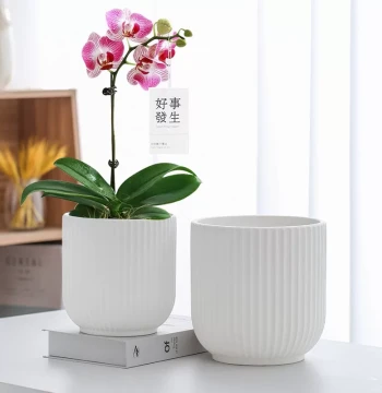 New Matte Vertical Ribbed Ceramic Planter - Nordic Style Large/Extra-Large Pot with Tray for Desktop Plants