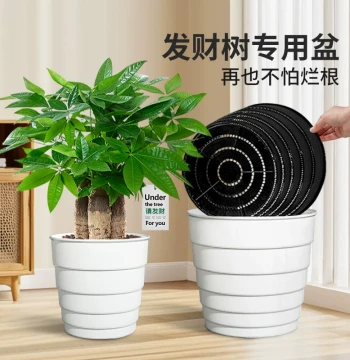 Meishi Money Tree Special Pot with Root Control, Large Breathable Plastic Planter, Anti-Rot Design for Living Rooms