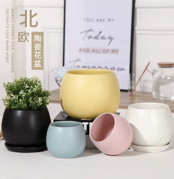 Instagram-Style Ceramic Planter with Saucer, Macaron Colors, Minimalist Spherical Matte Finish for Pothos and Succulents (Gray, White)