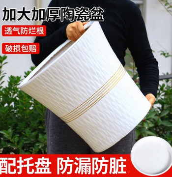 Large Diameter Ceramic Planter with Tray, Minimalist White Floor Pot for Living Room, Thickened Green Plant Container