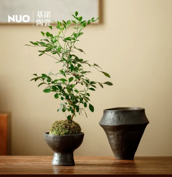 Jingdezhen Black Ceramic Succulent Planter - Indoor Desktop Clay Pot for Moss Balls and Orchids