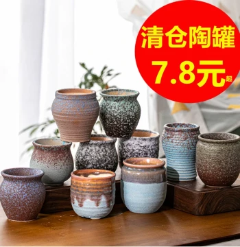 Succulent Ceramic Planter Set, Large-Opening Nordic Minimalist Pots for Aeonium and Old-Stem Plants, Clearance Special