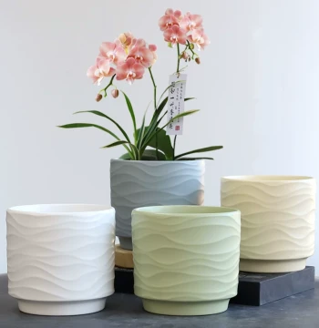 Nordic Minimalist Ceramic Flower Pot with Saucer for Home Use, Specialized for Phalaenopsis, Sansevieria, and Succulents, Instagram Style, Clearance