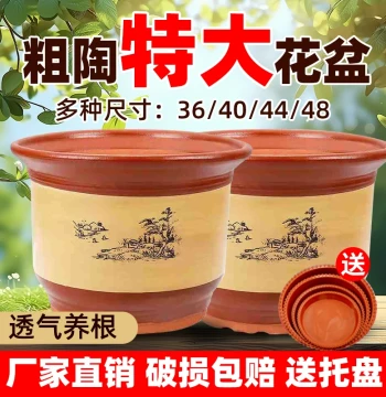 Ceramic Flower Pot Clearance Sale: Extra-Large Clay Pot for Home Use, Purple Sand Orchid Pot, Courtyard Planter for Money Tree and Sago Palm