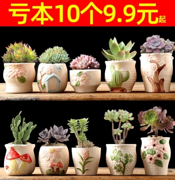 Breathable Creative Rough Ceramic Succulent Pots - Clearance Sale on Vintage Mini Thumb Pots for Meaty Plants