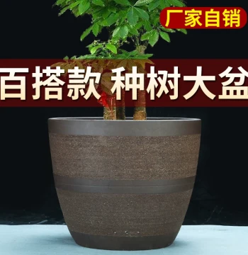 Extra-Large Coarse Pottery Zisha Flower Pot - Clearance Sale for Pothos, Succulents, Vegetables, and Trees